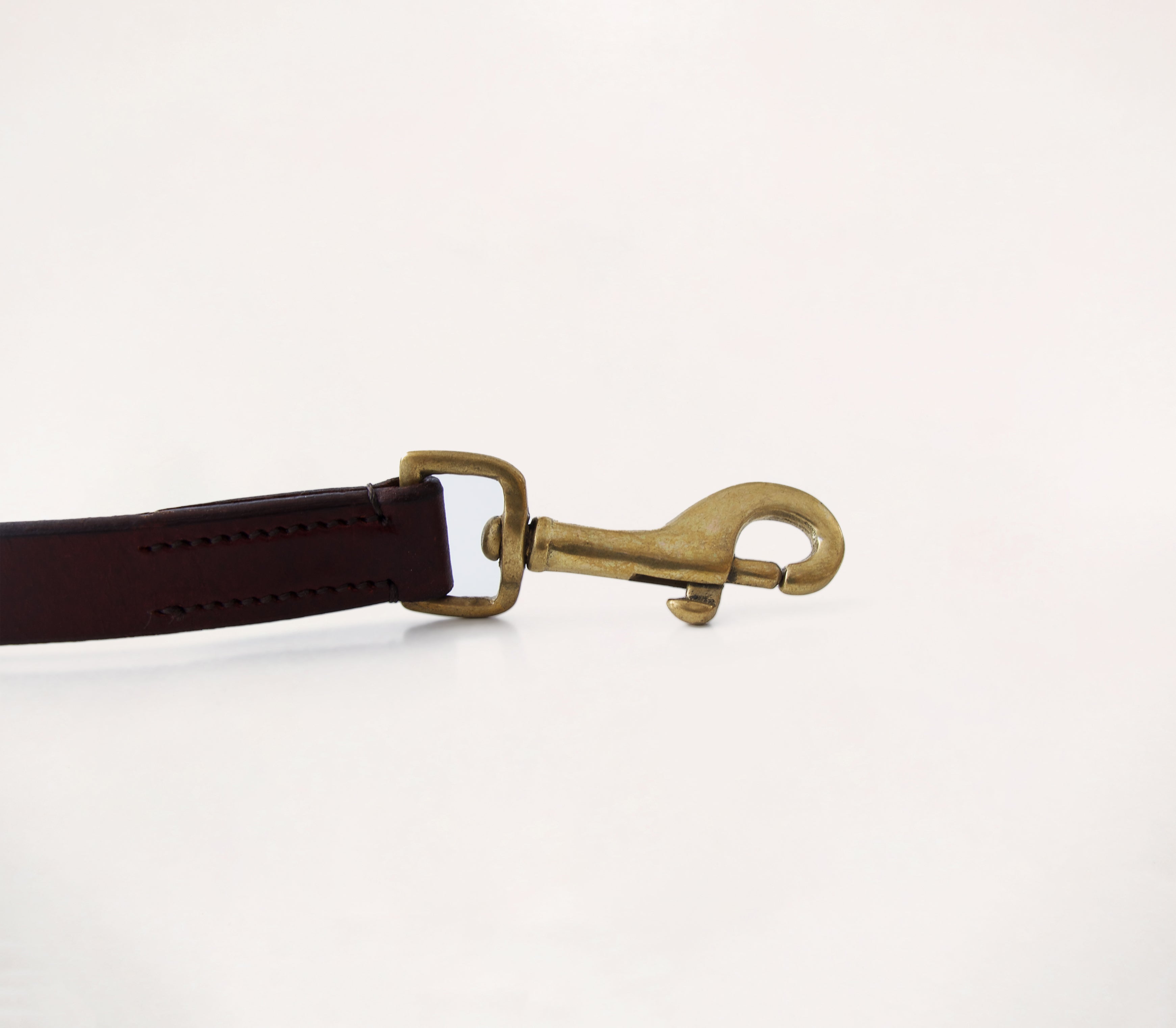 Honden halsband - Turquesa