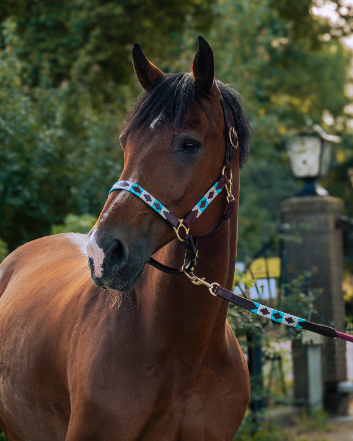 Gepersonaliseerd polo halster - Turquesa