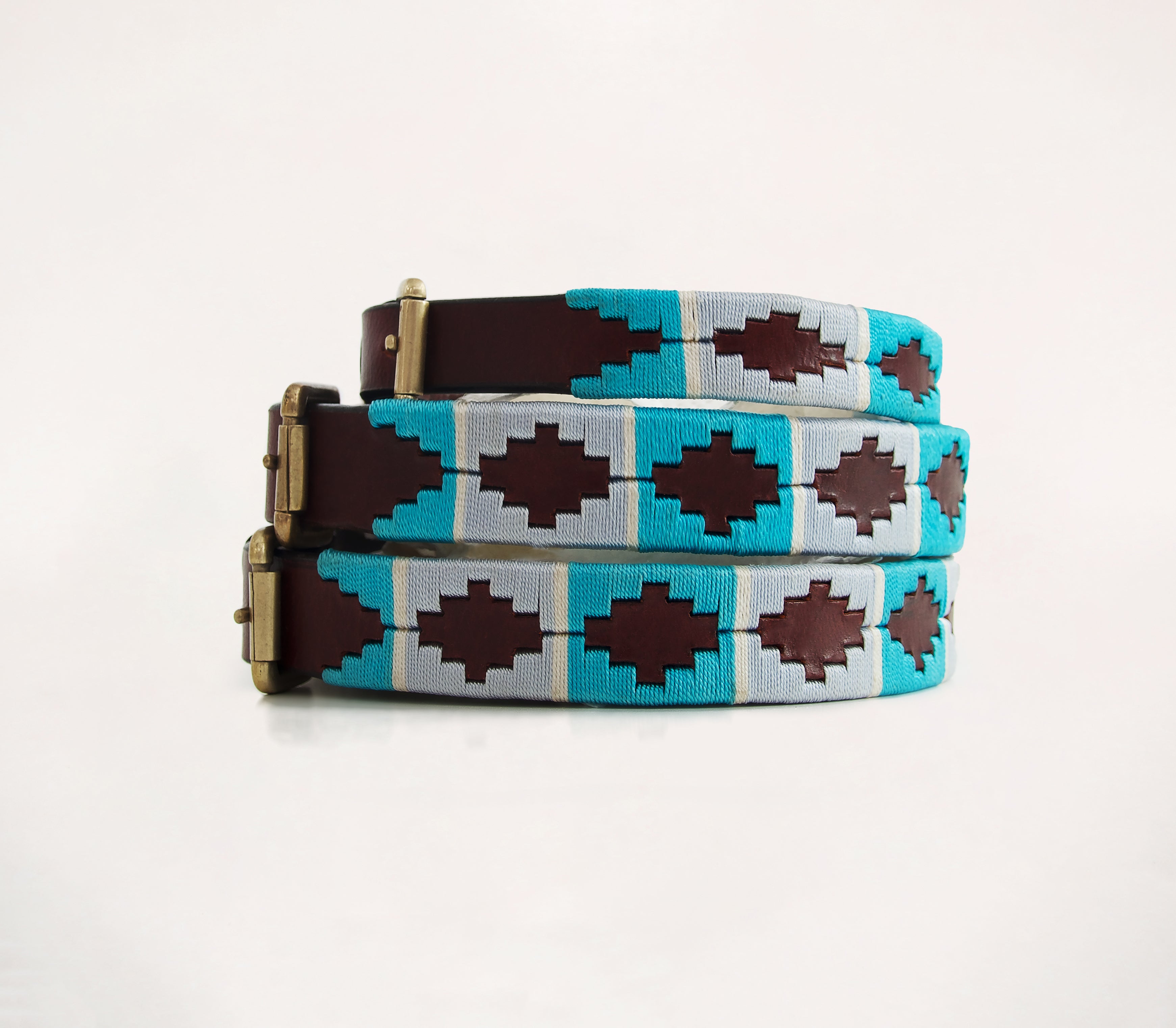 Honden halsband - Turquesa