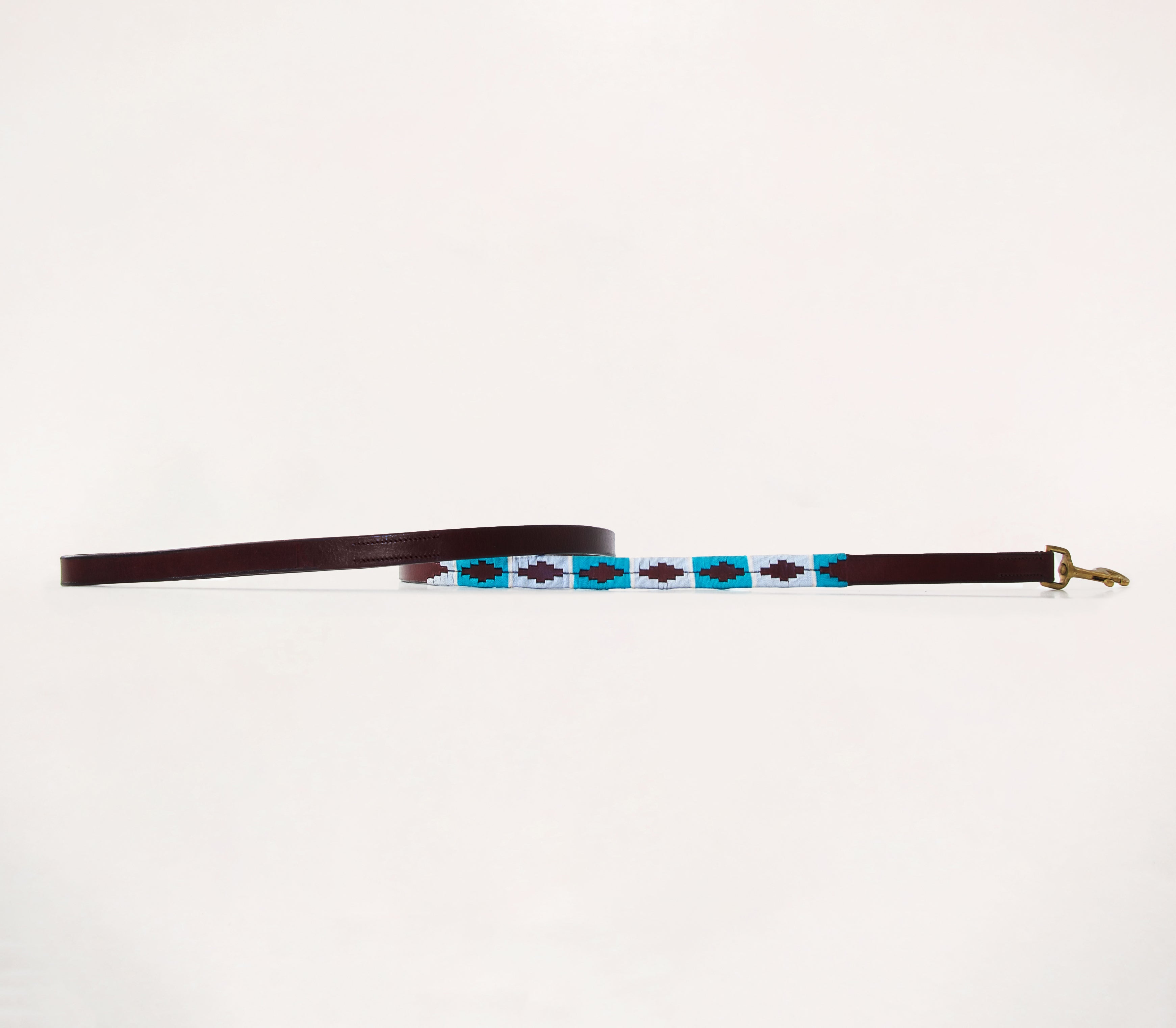 Honden halsband - Turquesa