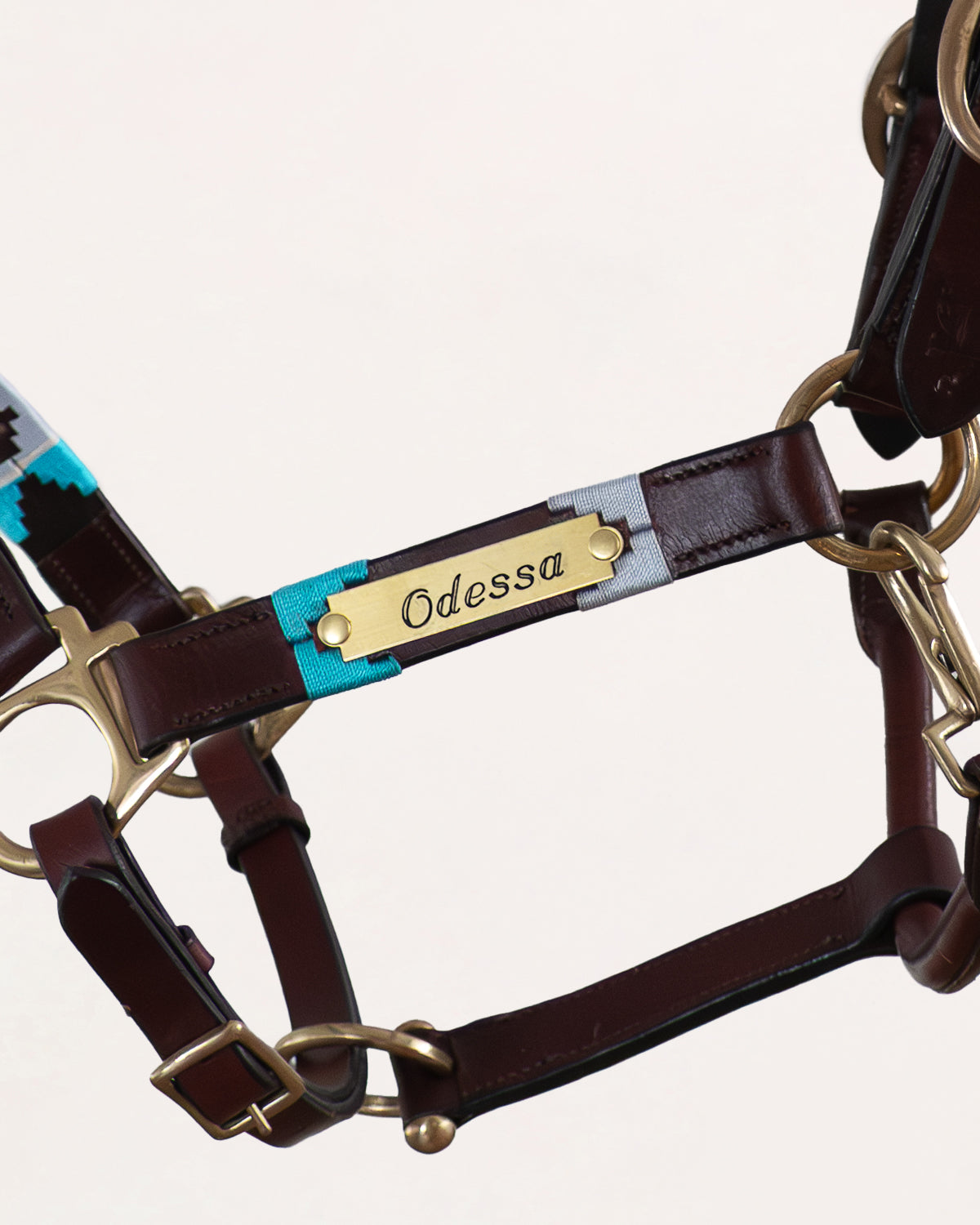 Gepersonaliseerd polo halster - Turquesa